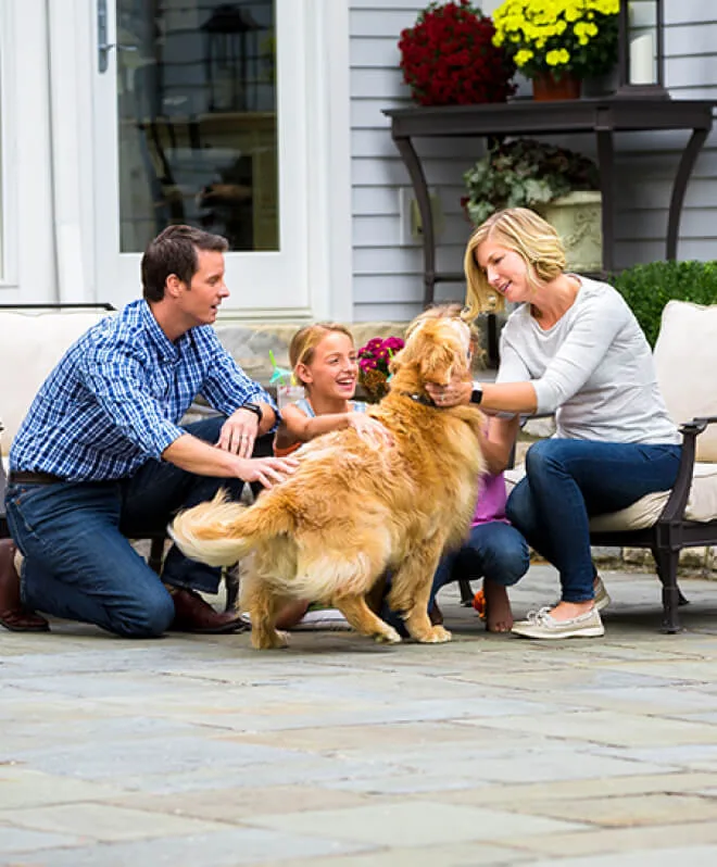 Family enjoying time outdoors with their dog